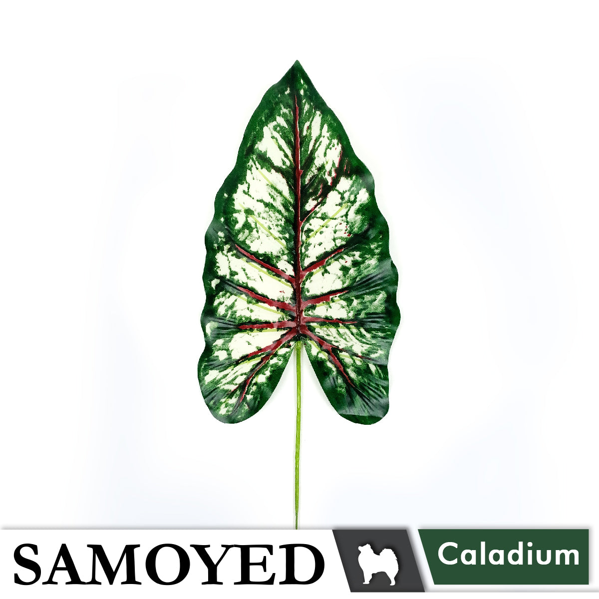 Artificial Plant Samoyed ARPL-L-TS1