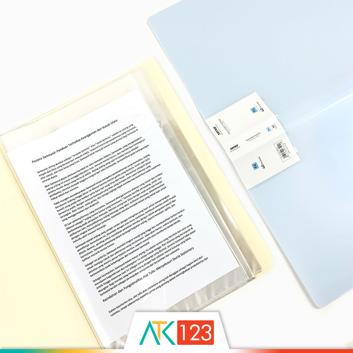 Document Keeper F4 40 Pockets Joyko DK-D40F4