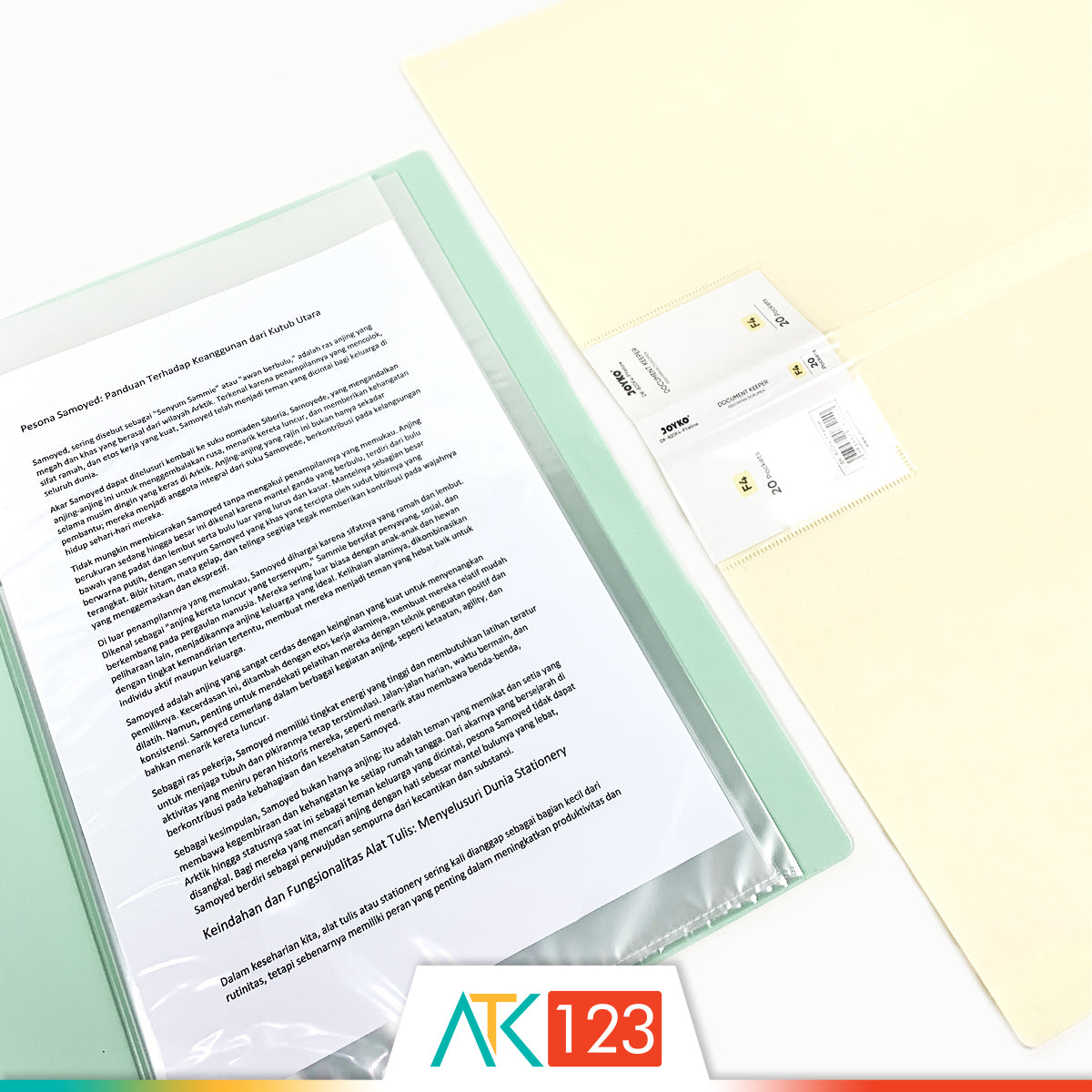 Document Keeper F4 20 Pockets Joyko DK-B20F4