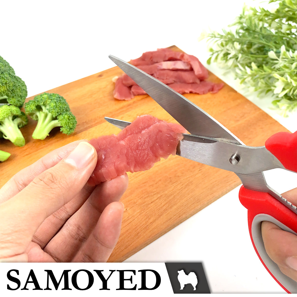 Scissors Samoyed SC-W23-19