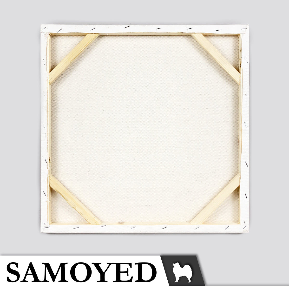 Artist Canvas Samoyed MS 40 x 40 cm