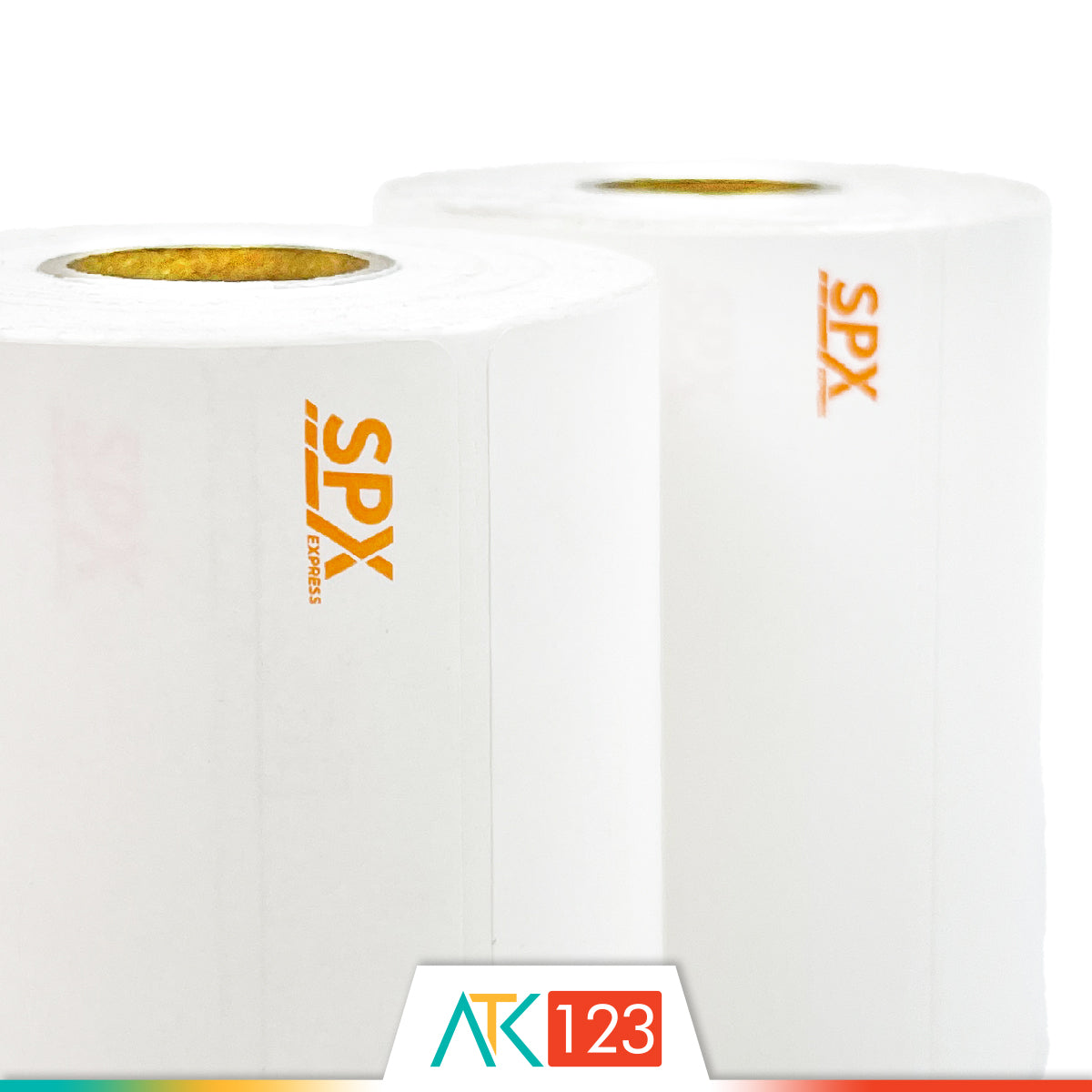 Label Thermal 100 x 120 mm 250 lbr