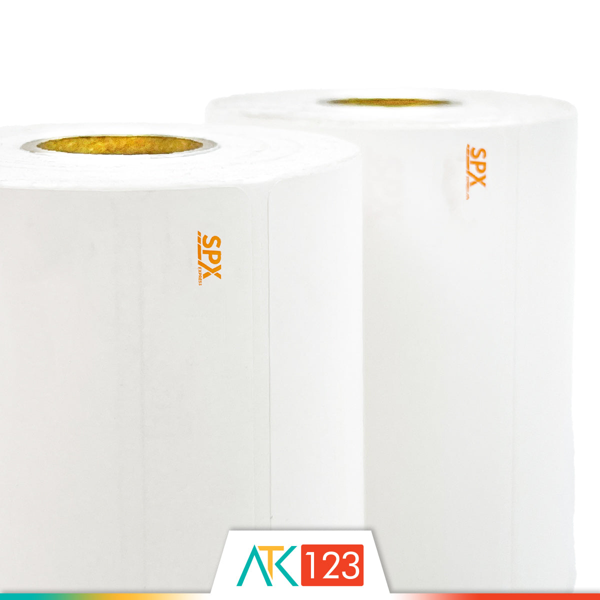 Label Thermal 100 x 120 mm 250 lbr