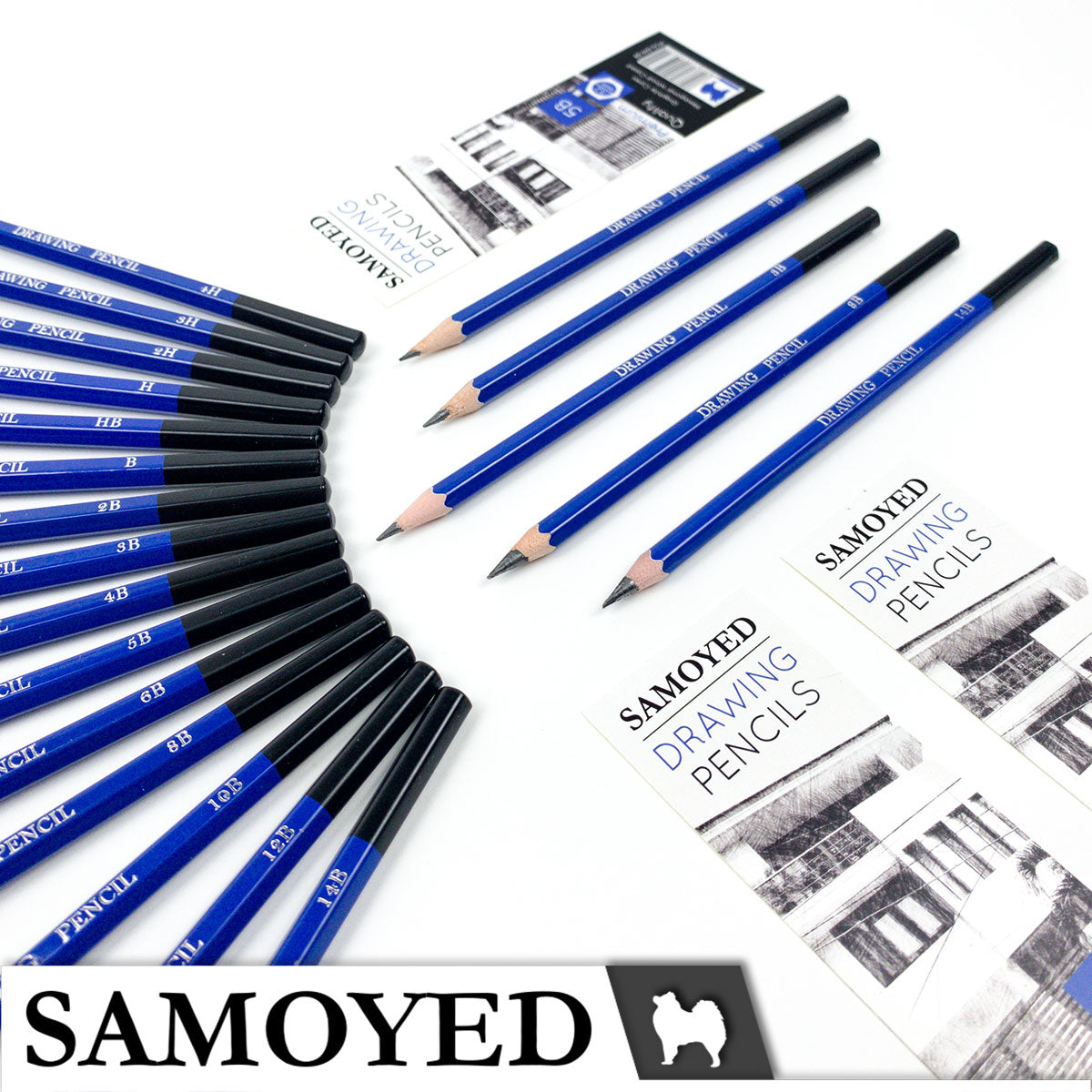 Drawing Pencil Samoyed PCG-DW