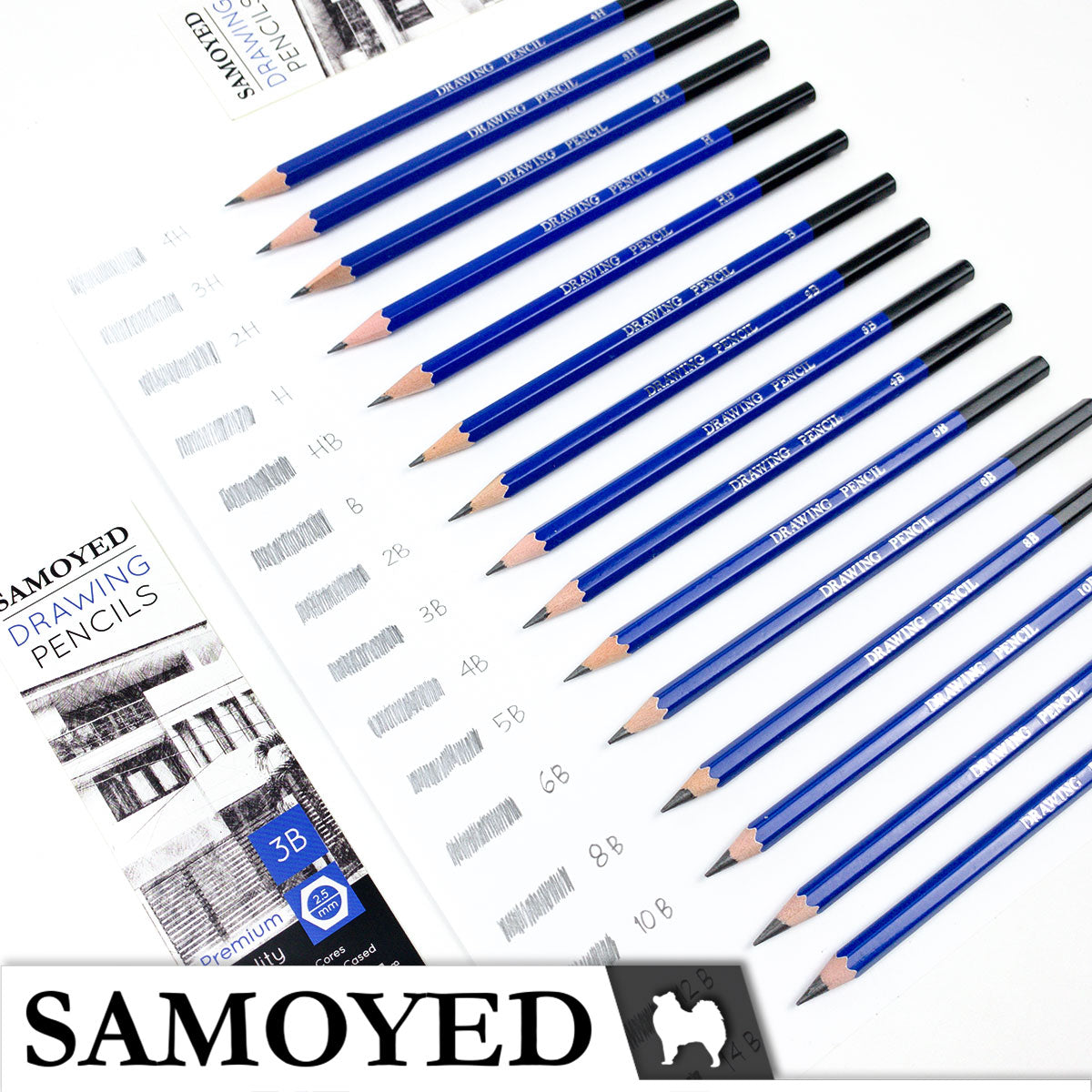 Drawing Pencil Samoyed PCG-DW