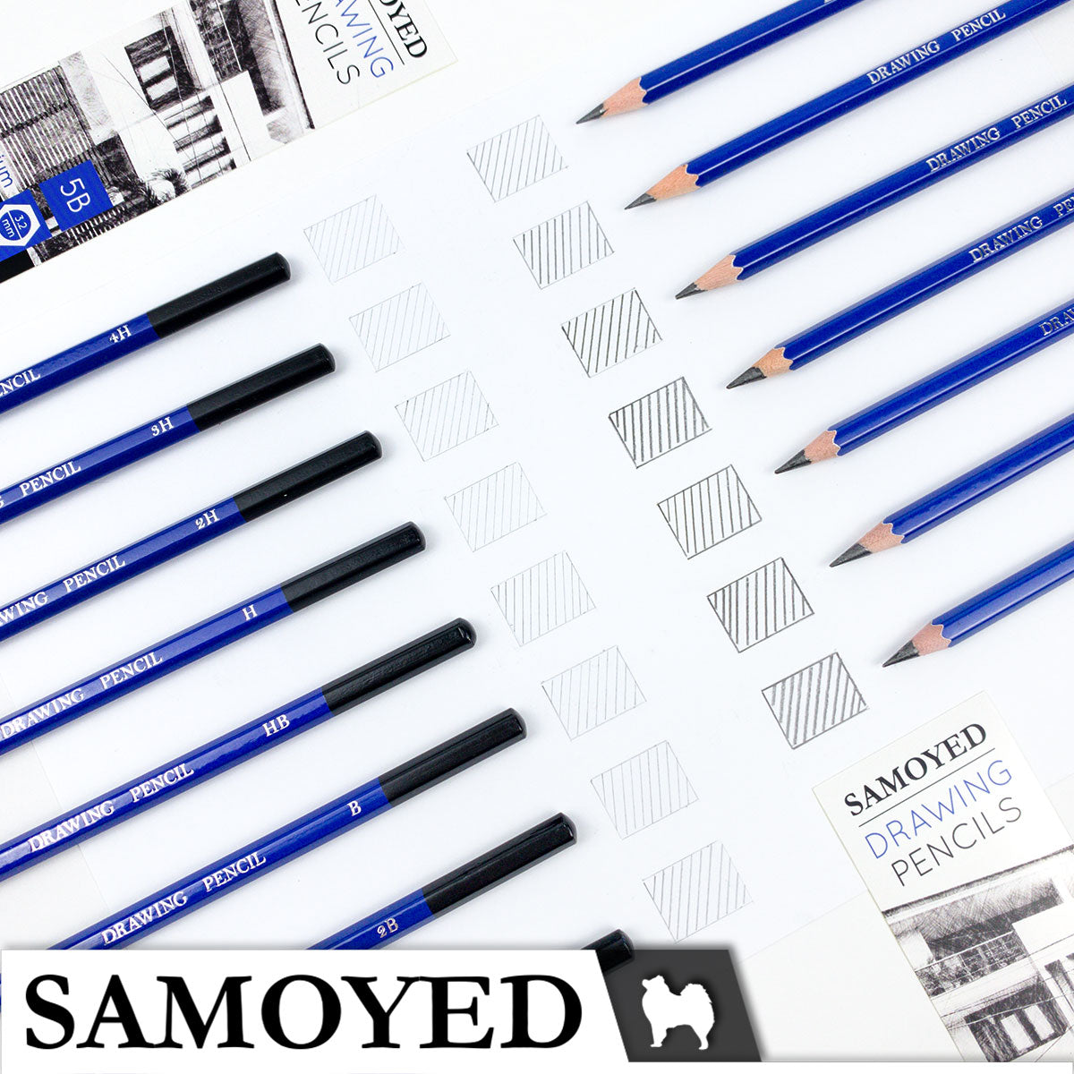 Drawing Pencil Samoyed PCG-DW