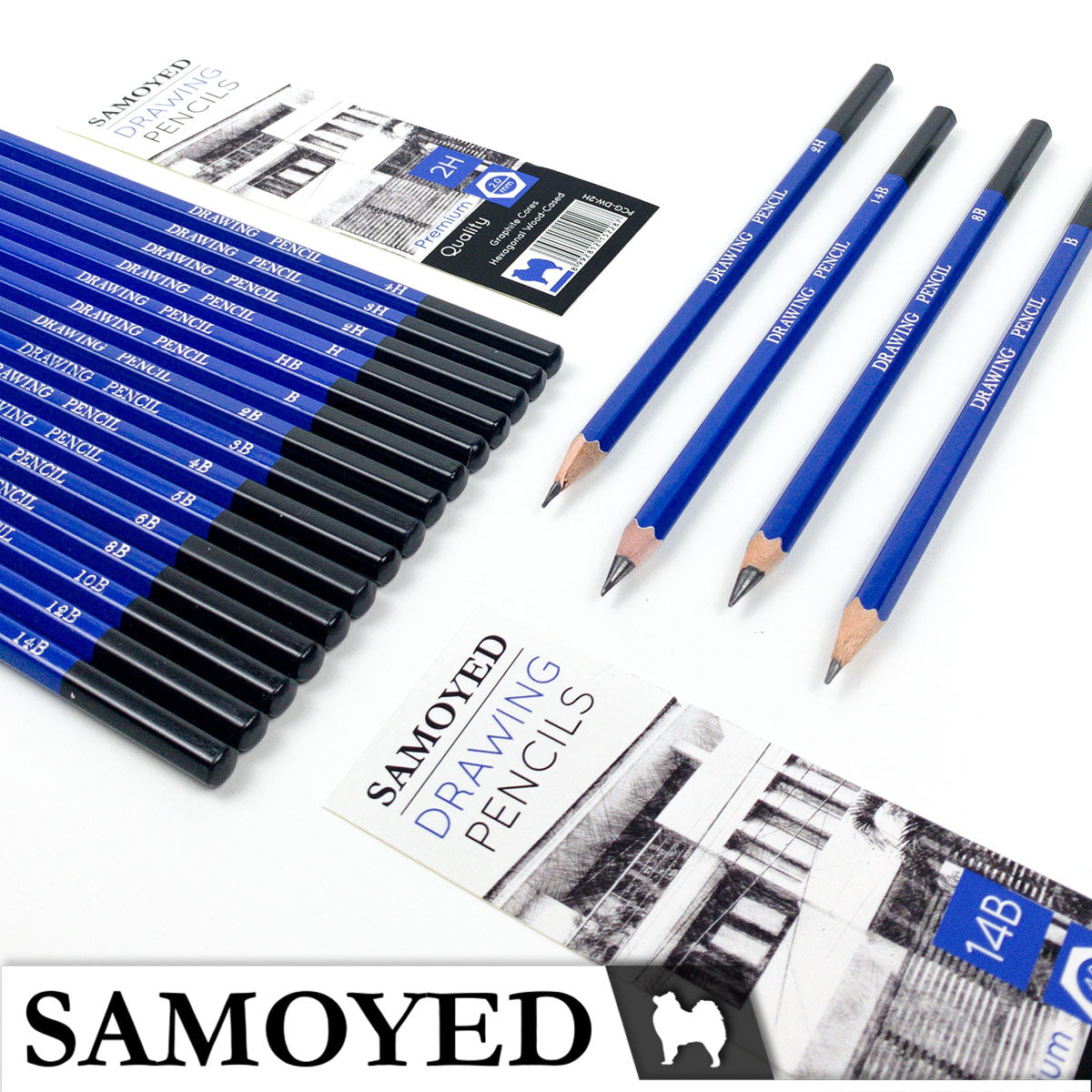 Drawing Pencil Samoyed PCG-DW